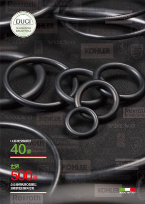EC480  Seal Kit NBR FKM ปั๊มไฮดรอลิก Excavator Seal Kits